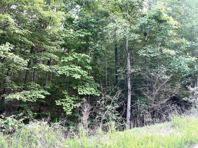 $79,900 | 45 Wohalie Lane, South Pittsburg, TN 37380