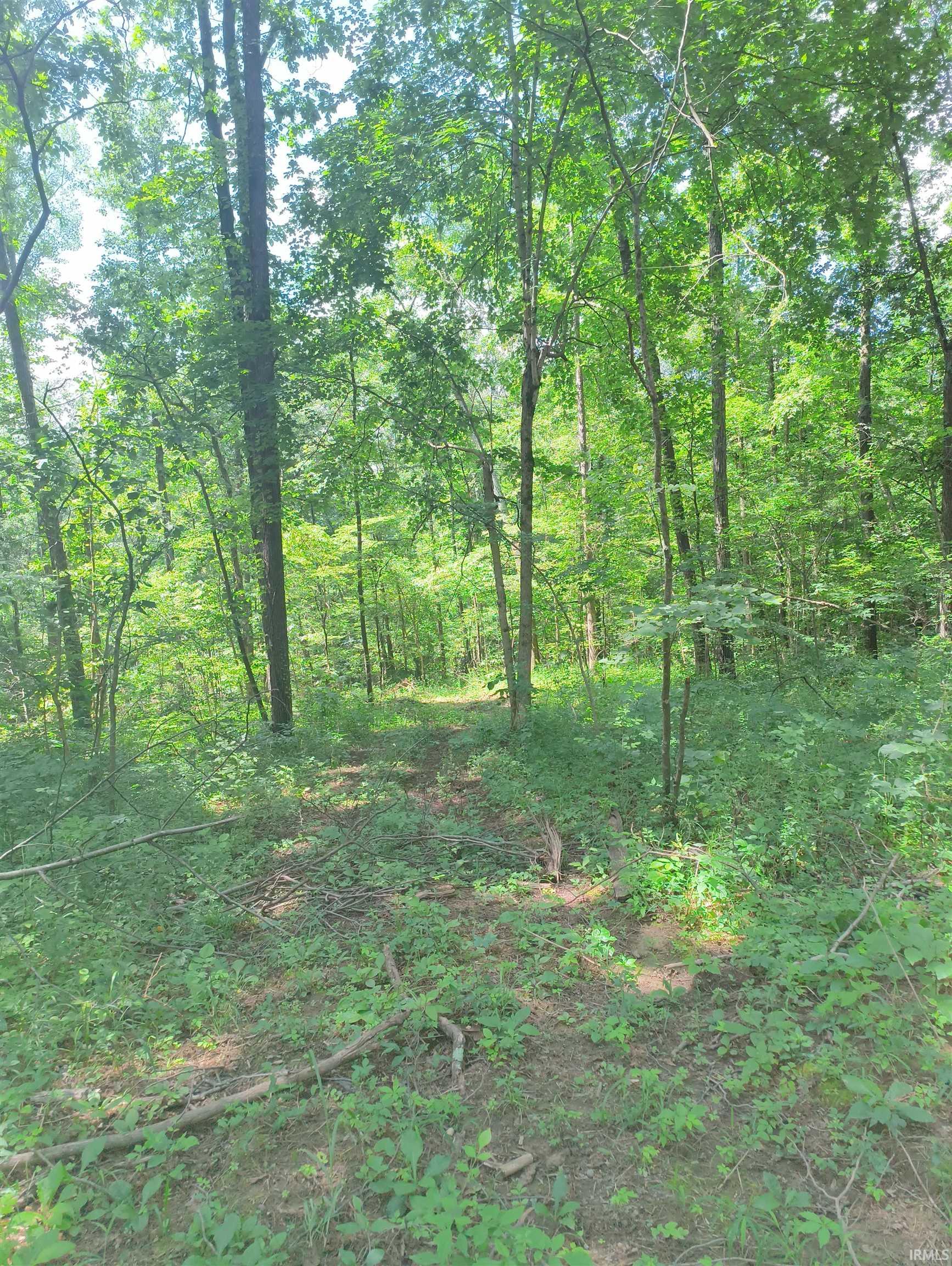 2500 South Coalmine Road Bloomfield, IN 47424 - Photo 7 of 12