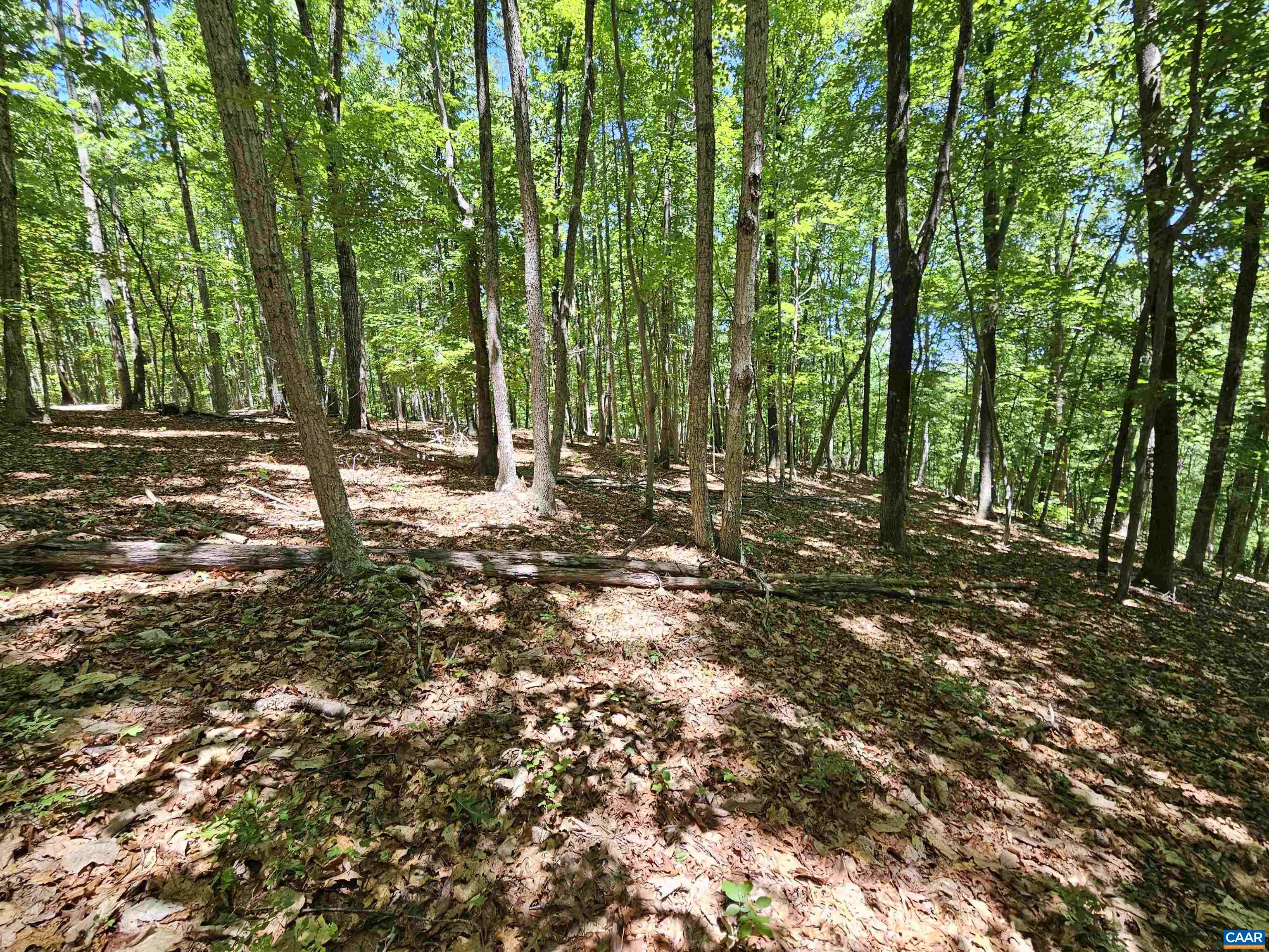 Manteo Road Buckingham, VA 23921 - Photo 13 of 19