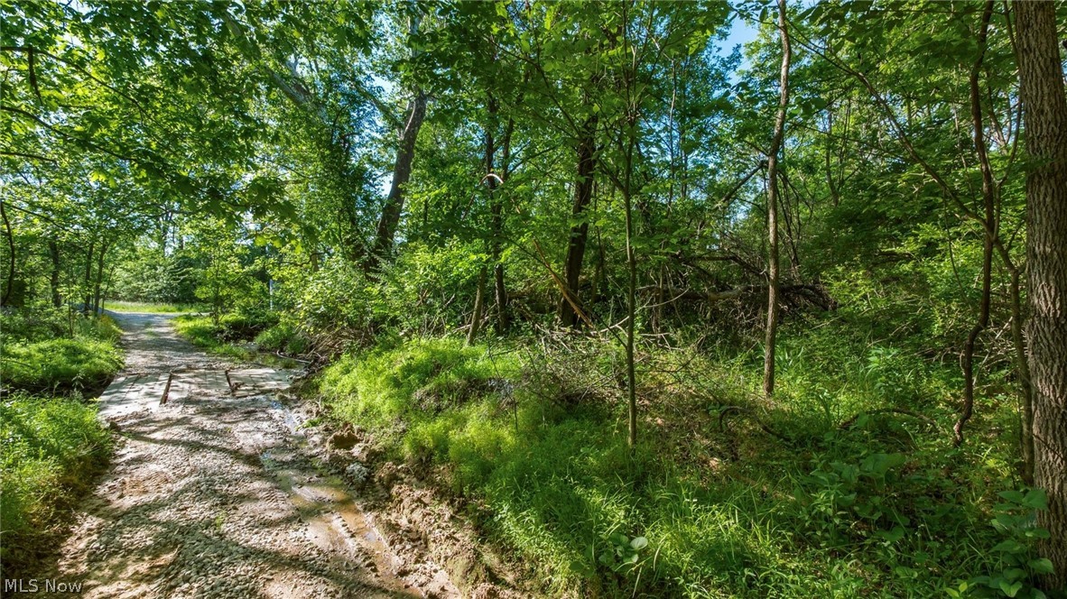 5911 Reform Road Northeast Newark, OH 43055 - Photo 14 of 19 Wooded property featuring a natural path, dense foliage, and mature trees
