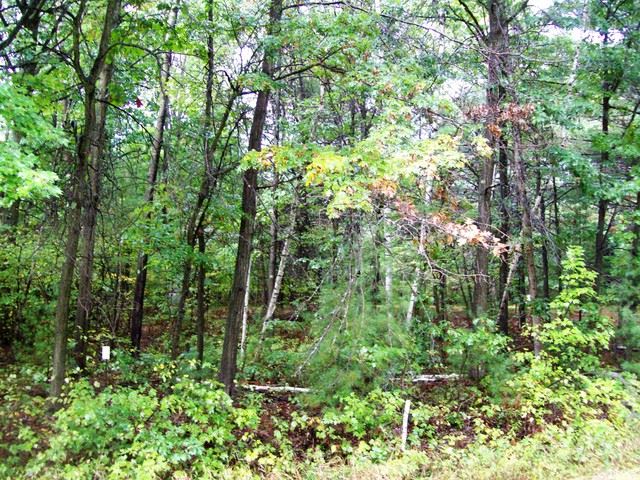 13 Kington Road Greenwood, WI 54437 - Photo 1 of 1