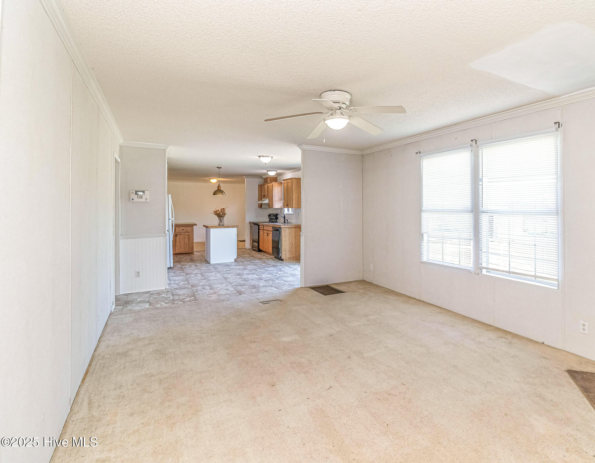 44 Wall Street Snow Hill, NC 28580 - Photo 12 of 31 IMG_1847