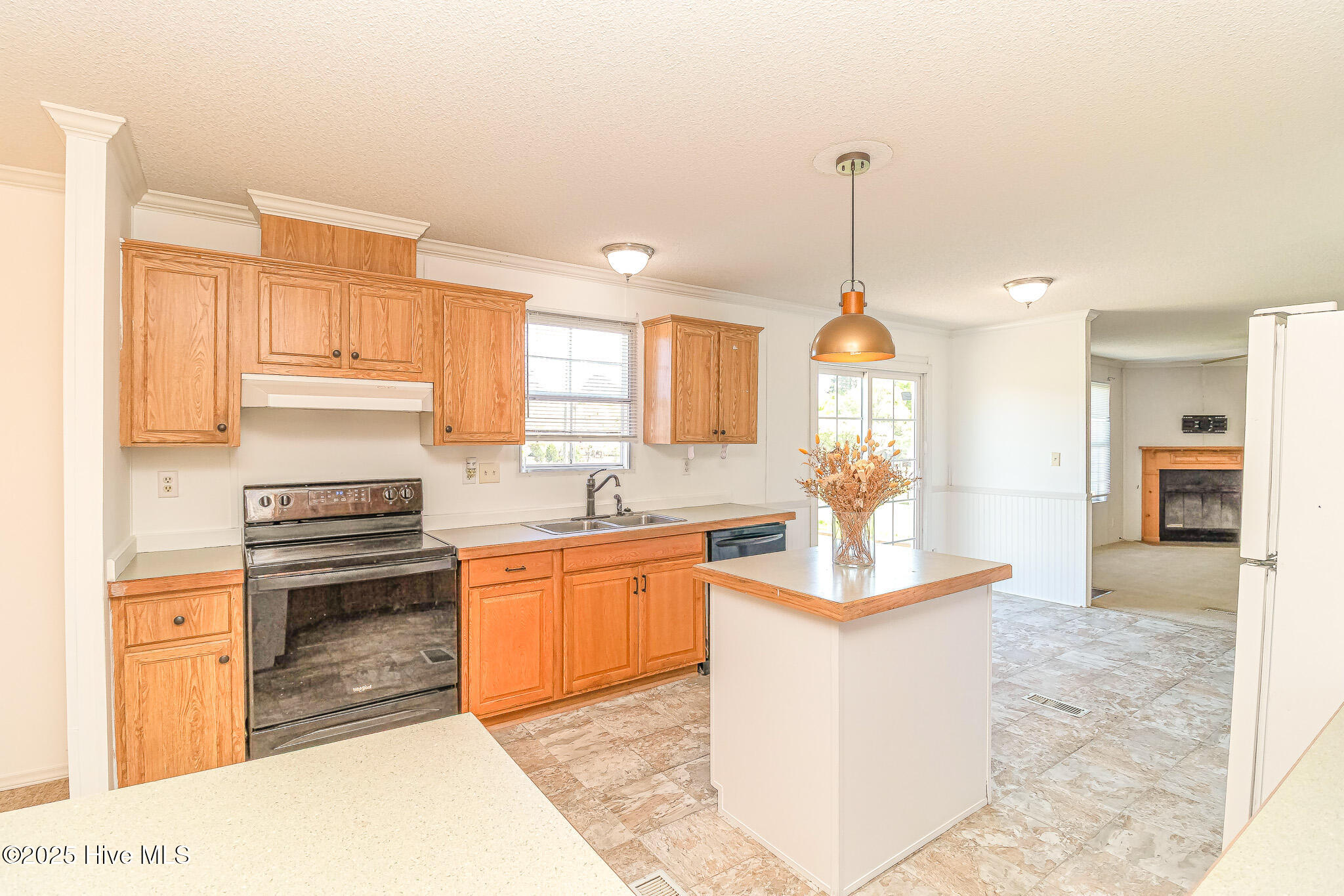 44 Wall Street Snow Hill, NC 28580 - Photo 14 of 31 IMG_1863