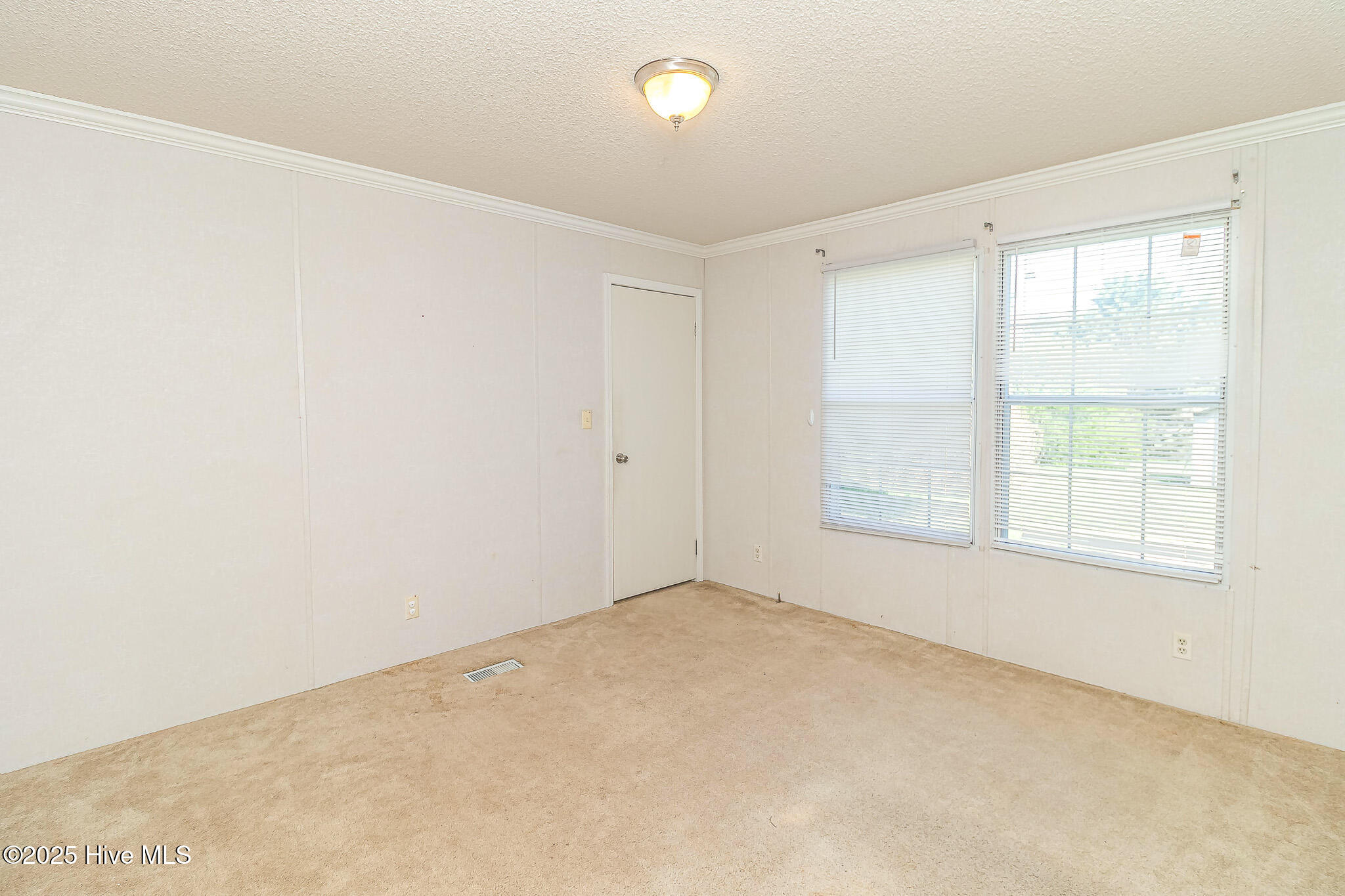 44 Wall Street Snow Hill, NC 28580 - Photo 27 of 31 IMG_1872