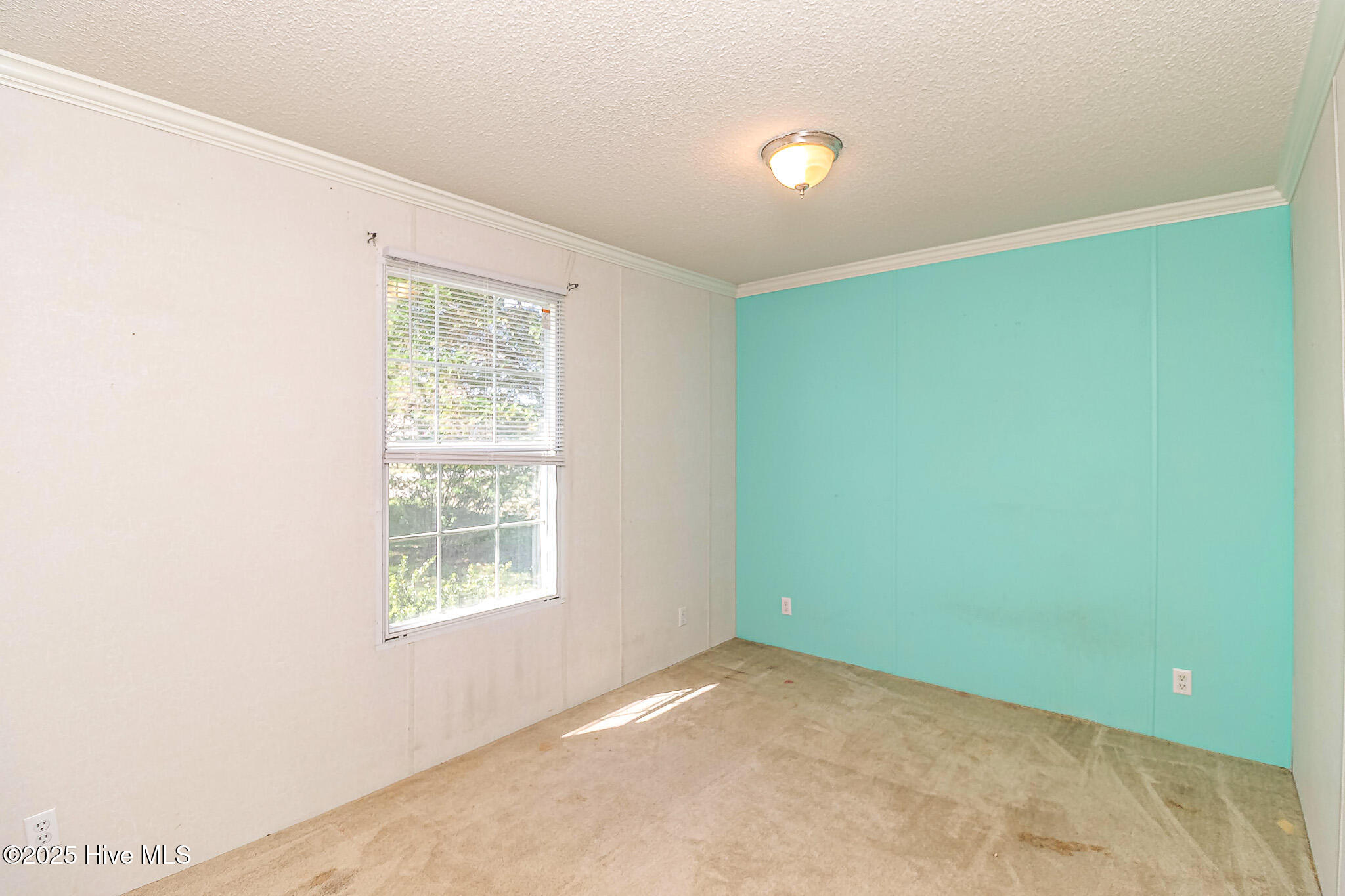 44 Wall Street Snow Hill, NC 28580 - Photo 28 of 31 IMG_1873