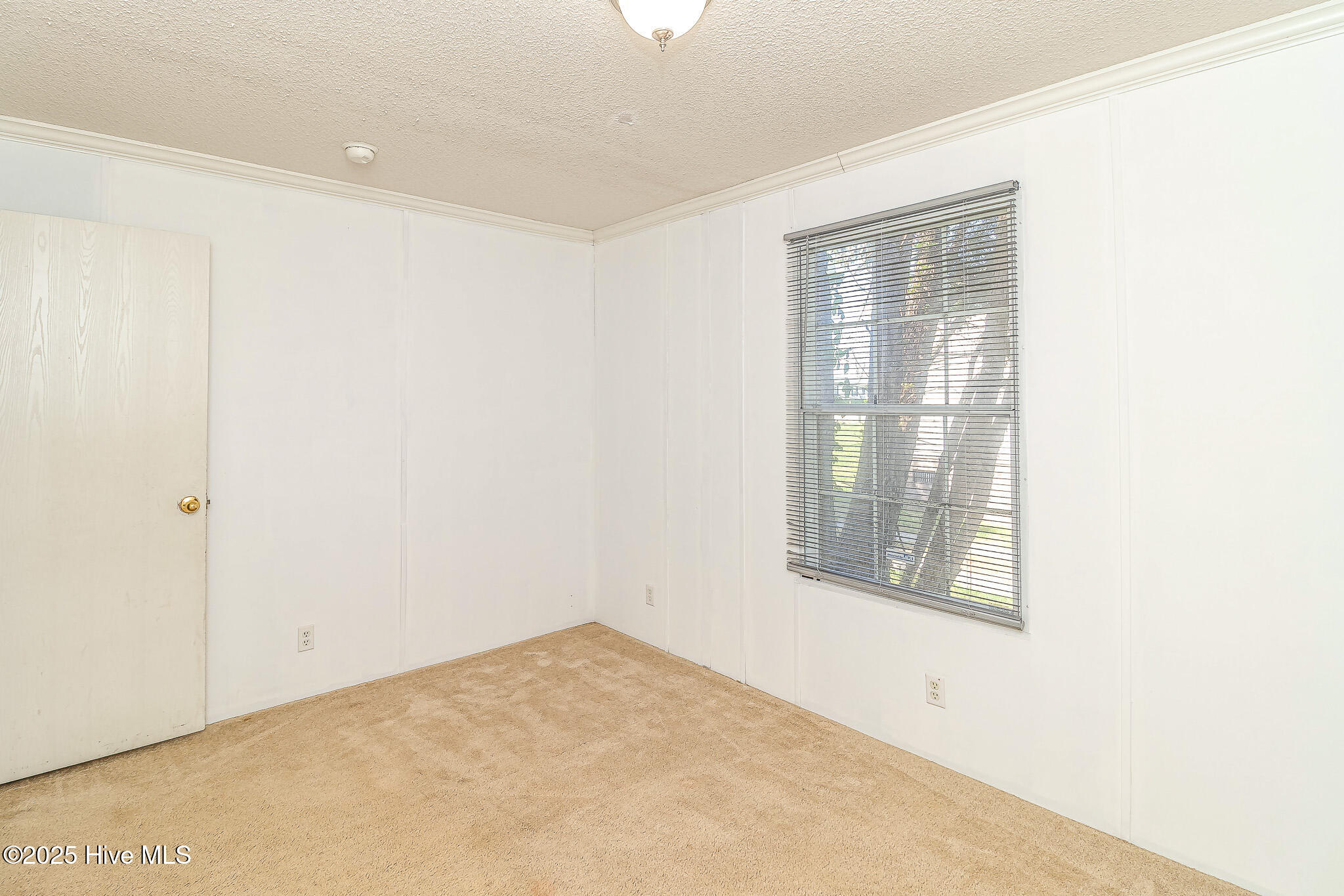 44 Wall Street Snow Hill, NC 28580 - Photo 30 of 31 IMG_1877