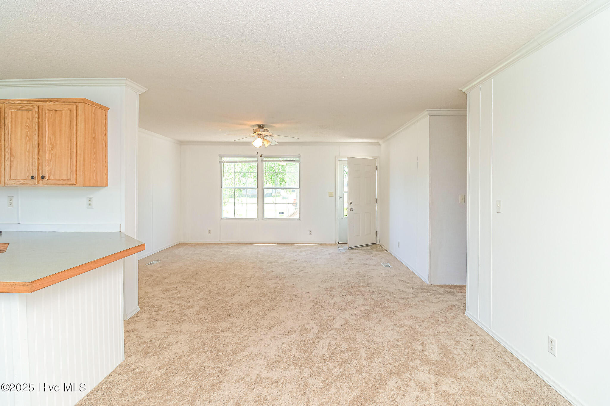 44 Wall Street Snow Hill, NC 28580 - Photo 6 of 31 IMG_1836