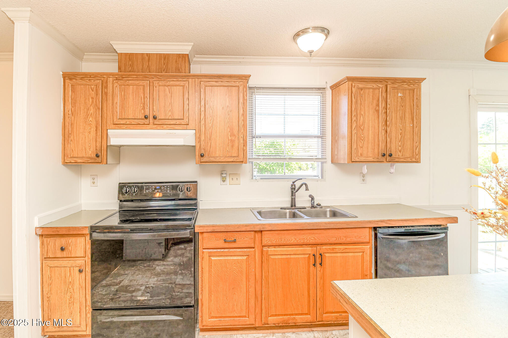 44 Wall Street Snow Hill, NC 28580 - Photo 8 of 31 IMG_1838