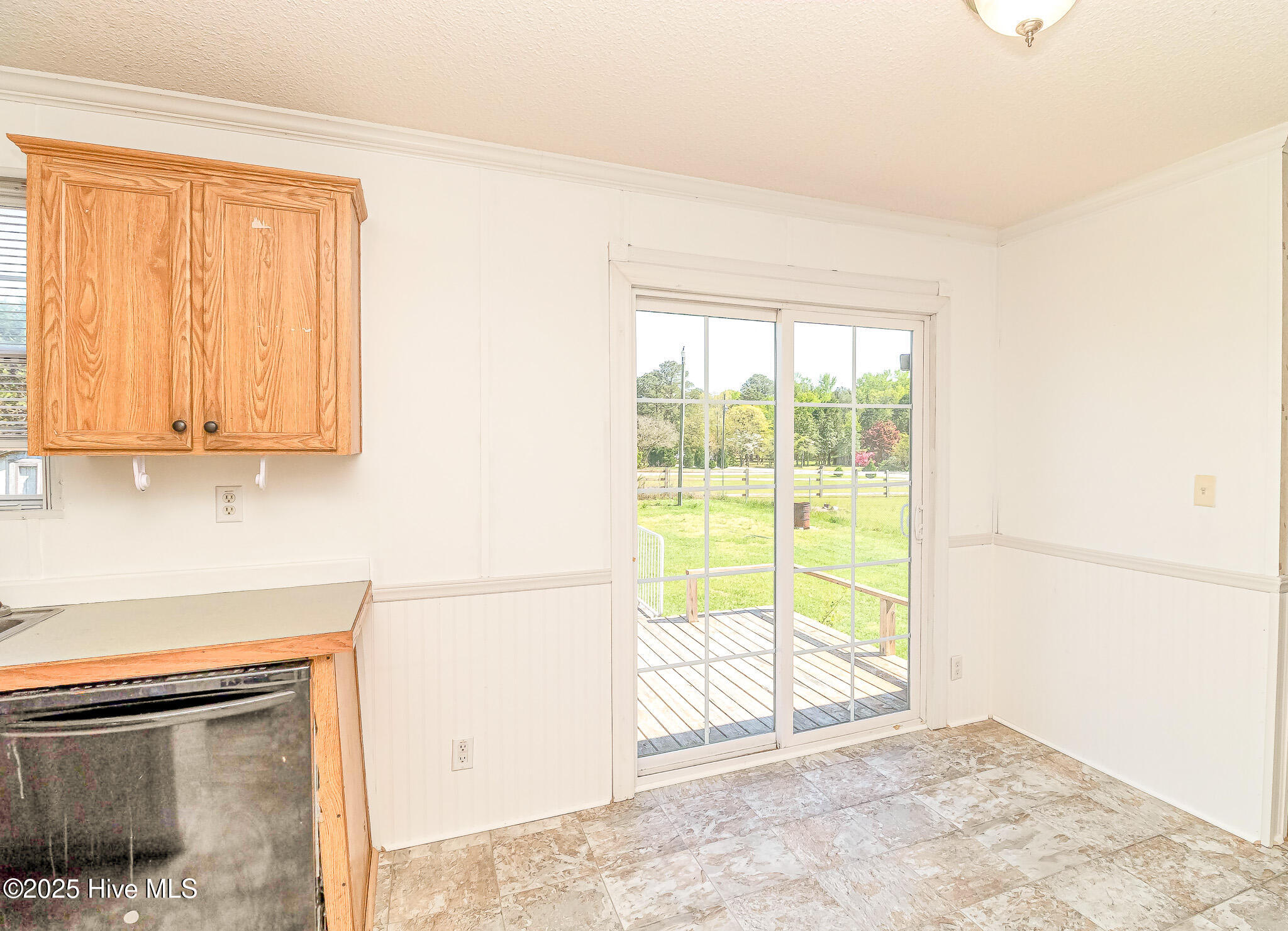 44 Wall Street Snow Hill, NC 28580 - Photo 10 of 31 IMG_1841-Edit