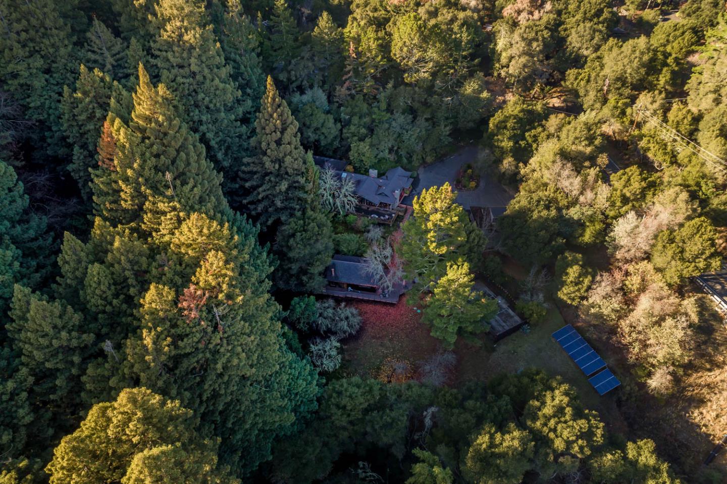 1255 La Honda Road Woodside, CA 94062 - Photo 3 of 26 a view of a tree in a yard