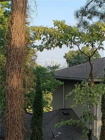 a view of a backyard