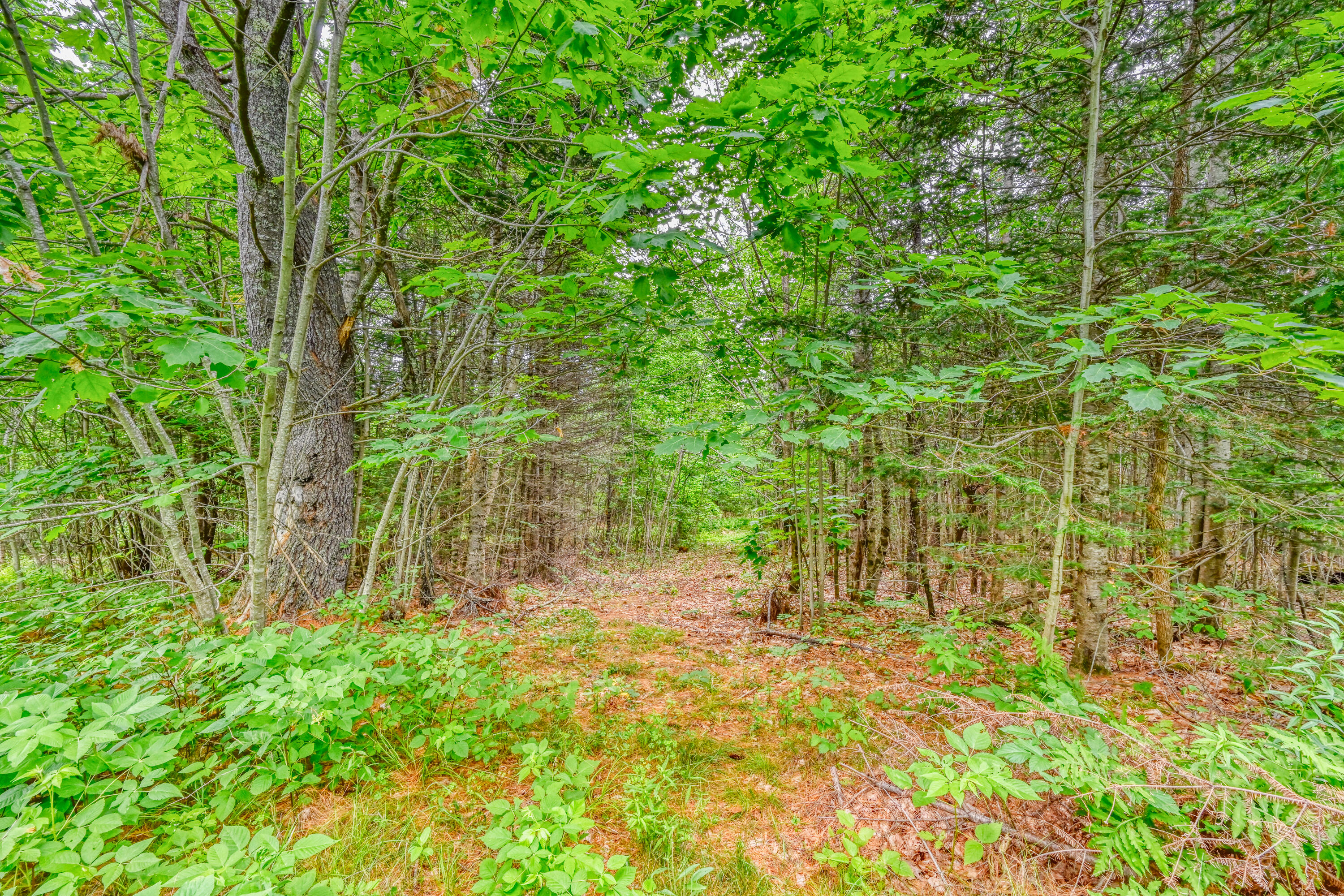 44 South Colby Road Somerville, ME 04348 - Photo 9 of 19 110082gr-104