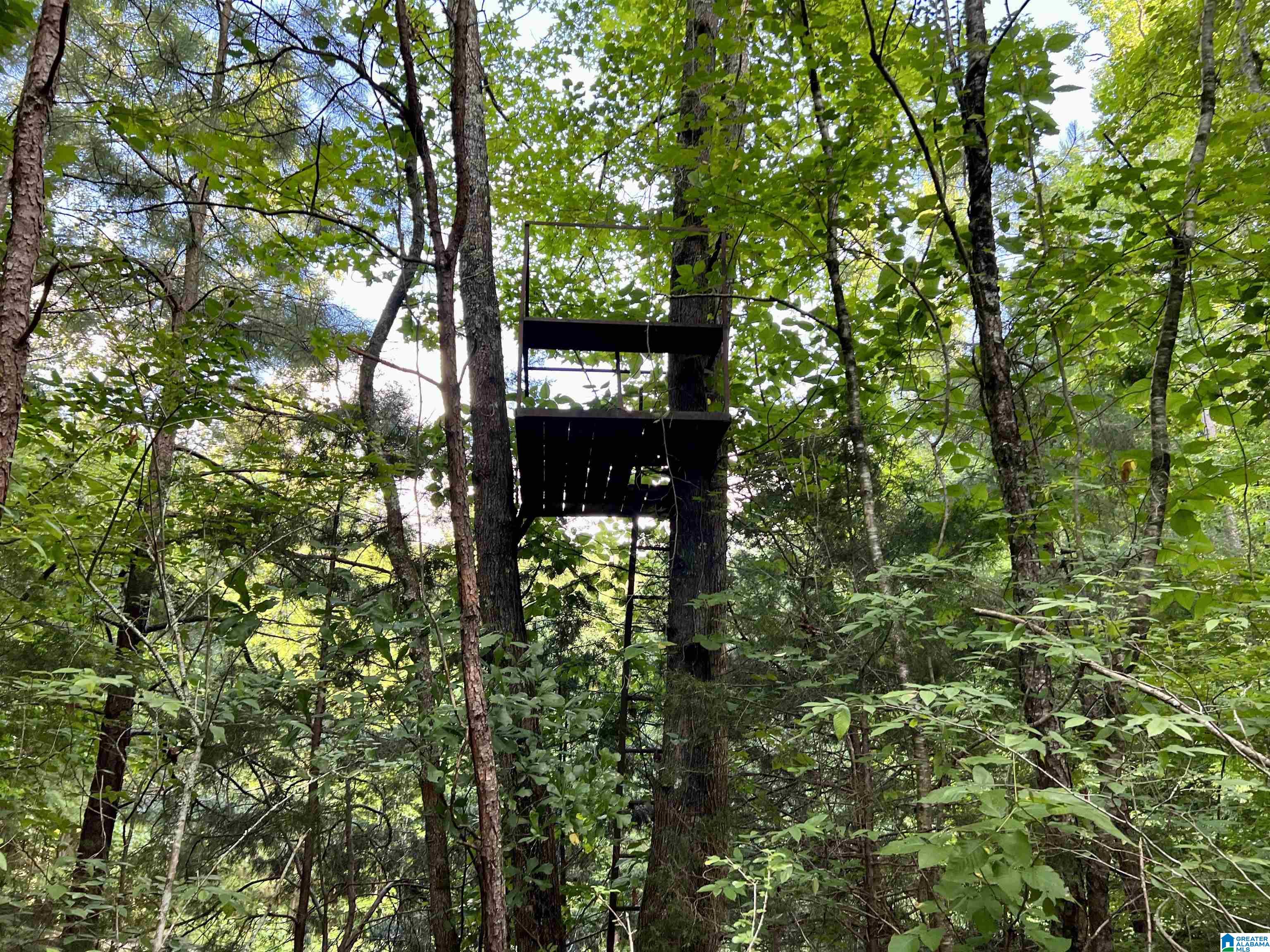 1515 Kelly Ranch Road, Unit 138 ACRES / Talladega, AL 35160 - Photo 29 of 42