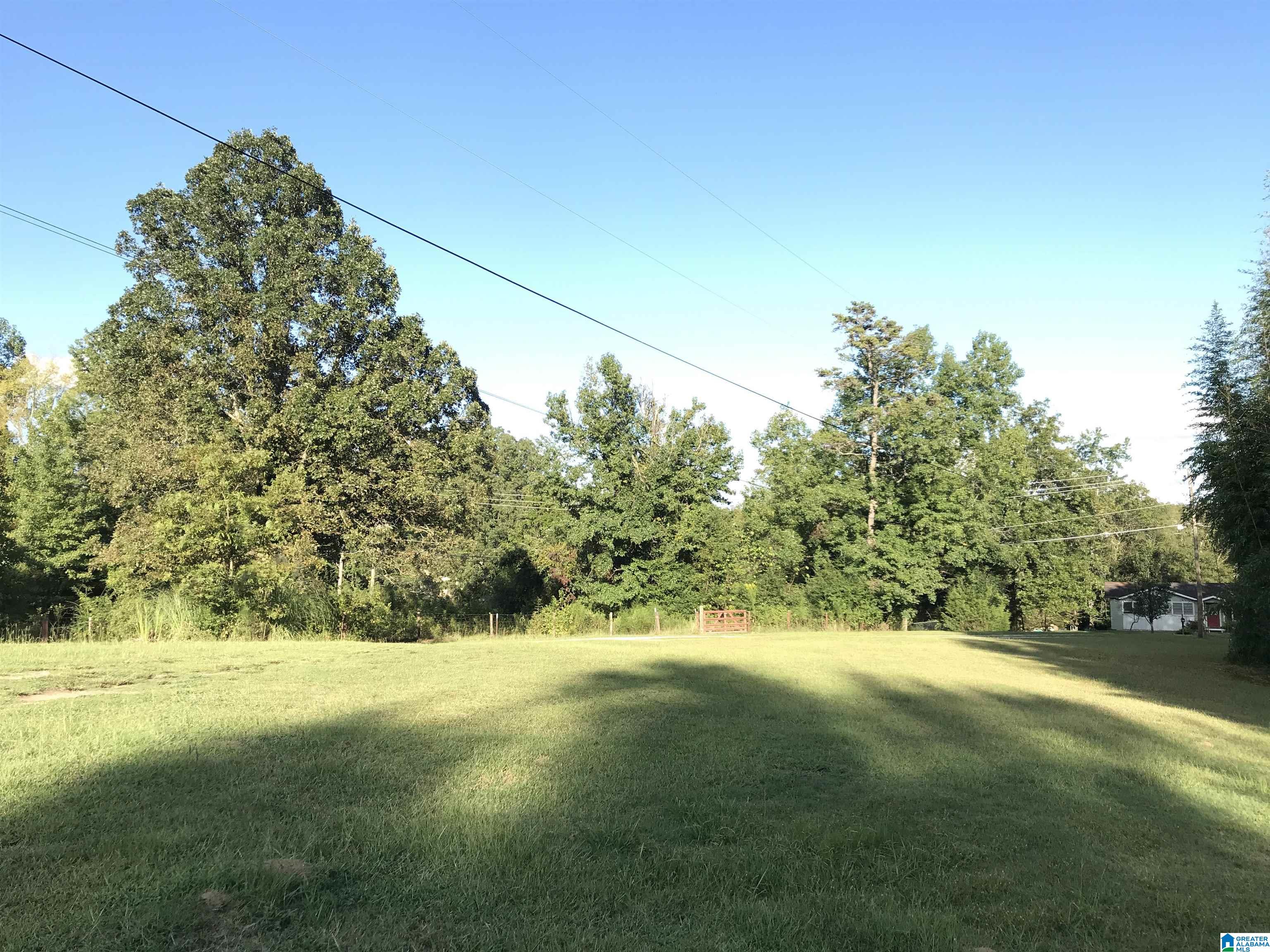 175 Boren Road Warrior, AL 35180 - Photo 15 of 19