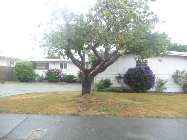 3451 Edgewood Road Eureka, CA 95501 - Photo 14 of 14