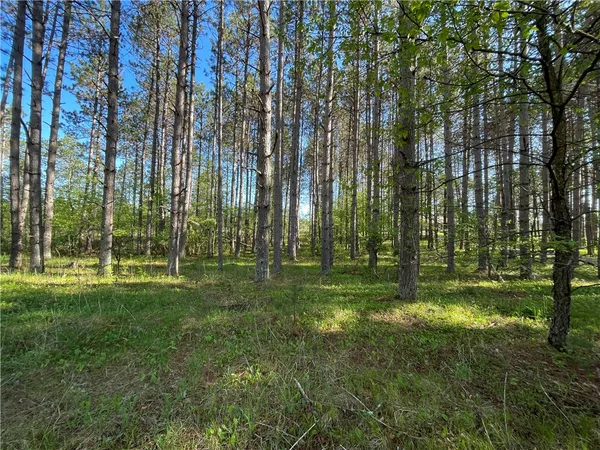 $45,900 | Lot 3 Murphy Boulevard, Hayward, WI 54843