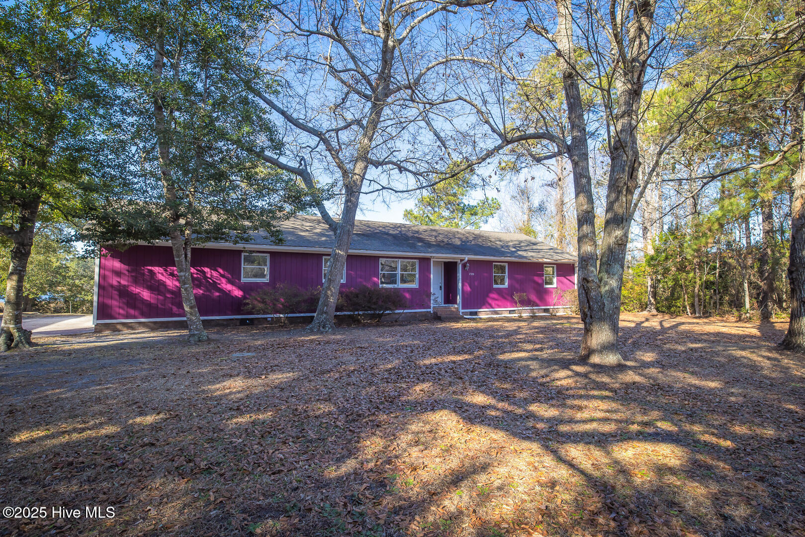 739 Cockle Street Holly Ridge, NC 28445 - Photo 2 of 36 W4