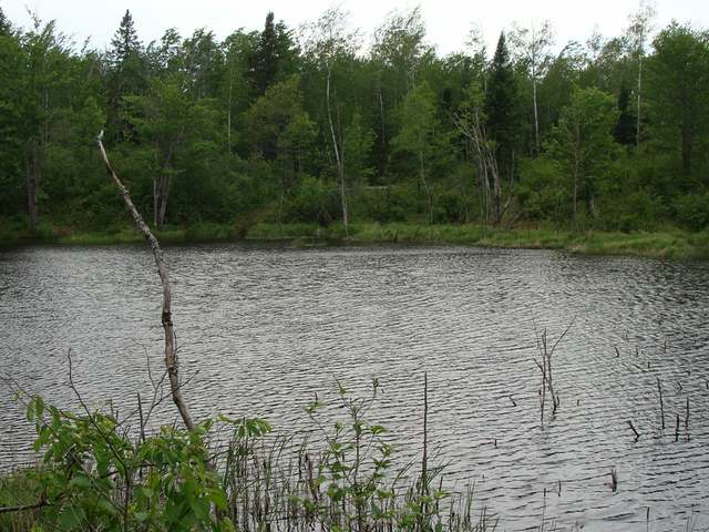 Off Pine Lake Road Tripoli, WI 54564 - Photo 12 of 18 Gallery Image 12