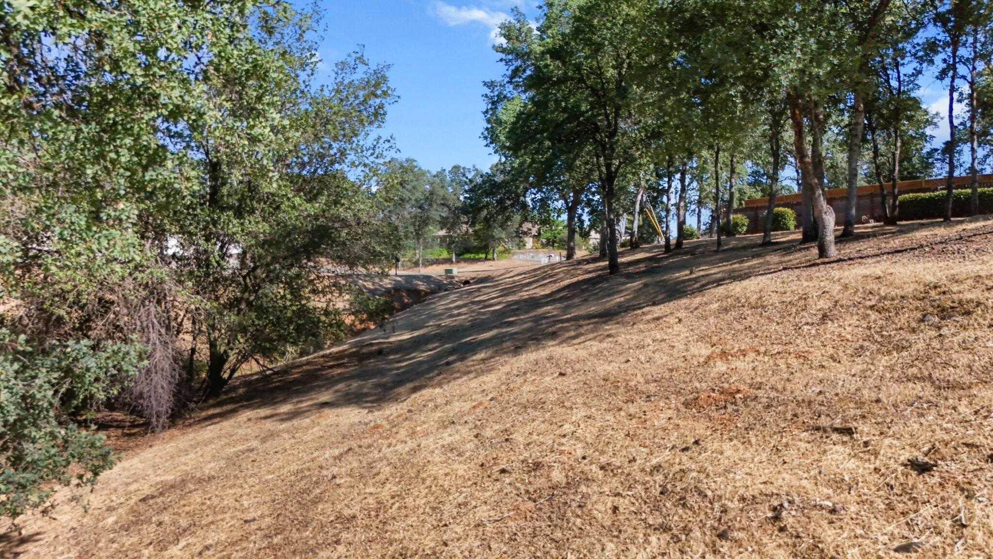 11632 Ridgewood Road Redding, CA 96003 - Photo 14 of 15 a view of road and trees