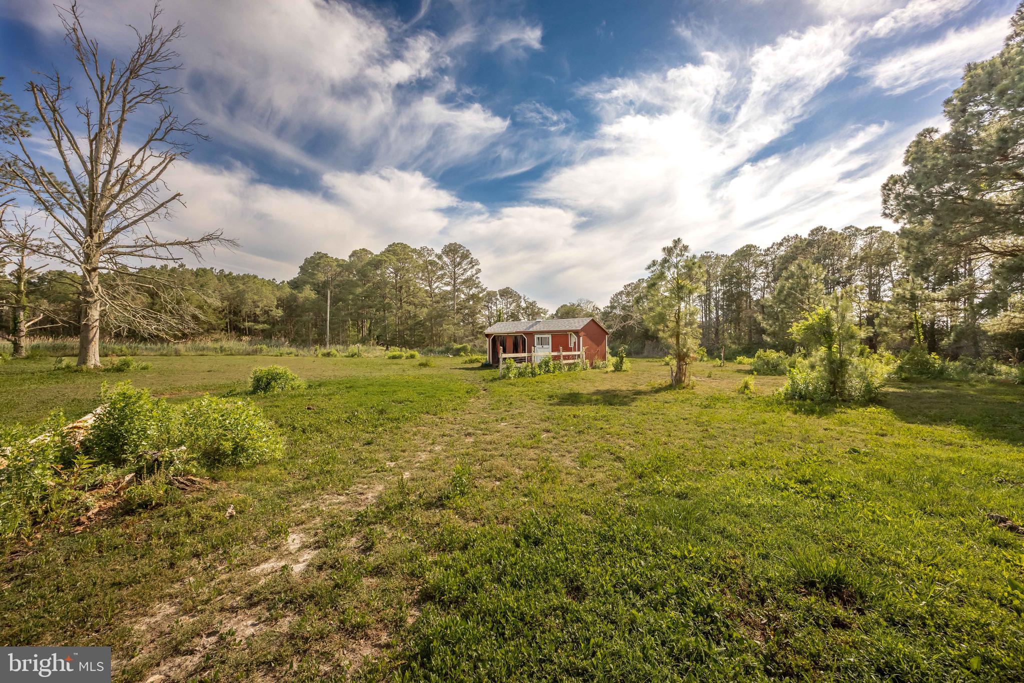 27012 Johnson Creek Road Crisfield, MD 21817 - Photo 14 of 65