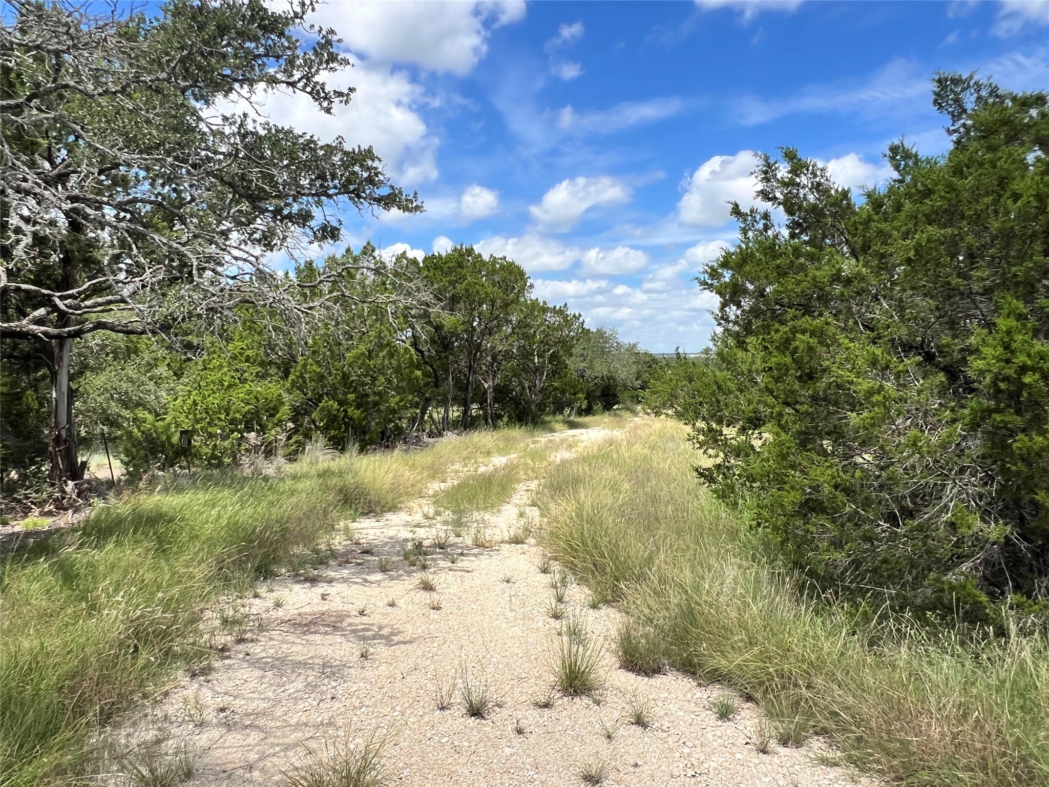 2452 Stone Creek Ranch Drive Evant, TX 76525 - Photo 3 of 19 Owners have cleared a driveway to the homesite