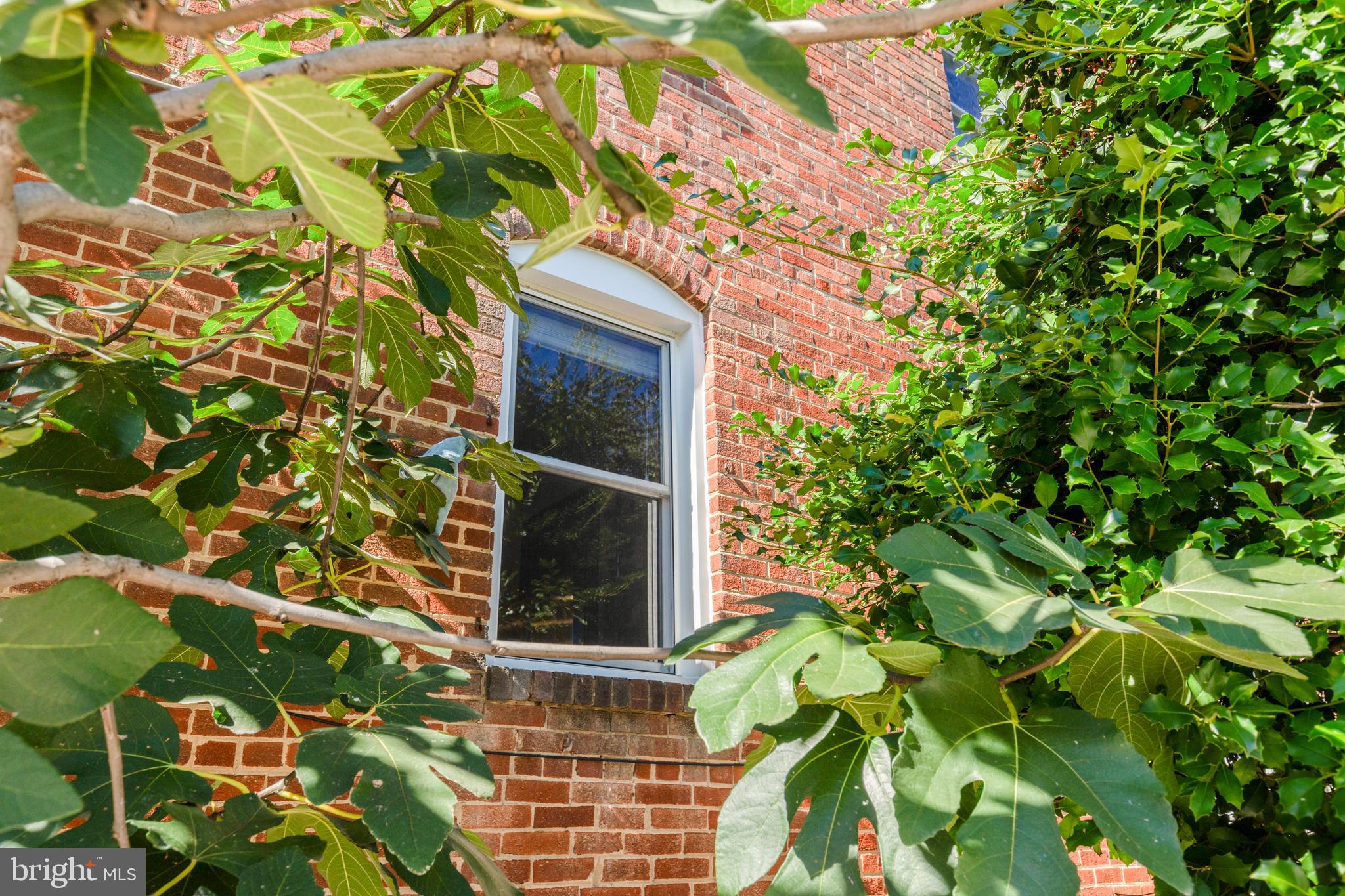 2415 E Street Northeast Washington, DC 20002 - Photo 40 of 43