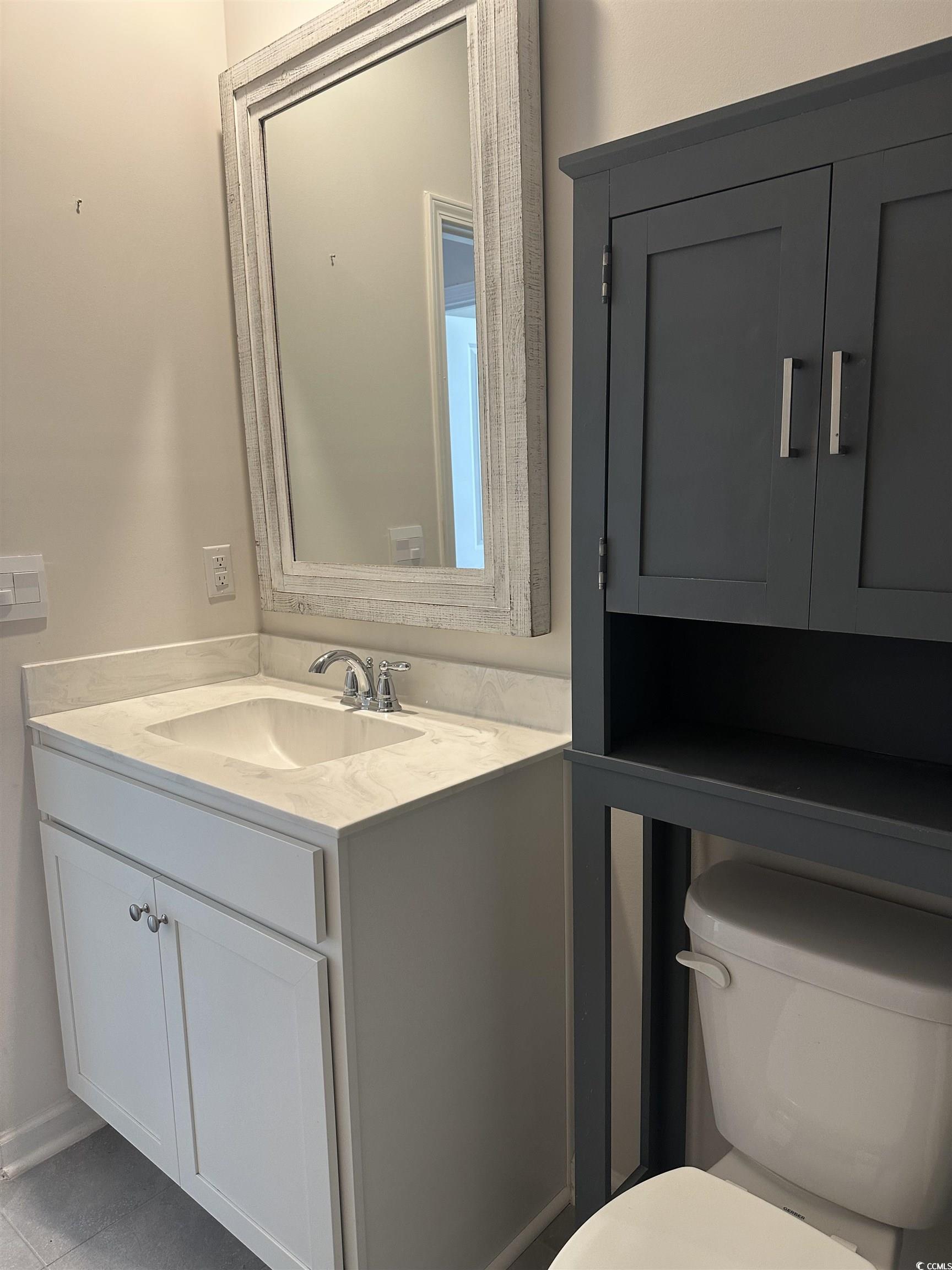 3789 Bells Lk Circle Longs, SC 29568 - Photo 19 of 26 Bathroom featuring vanity and toilet