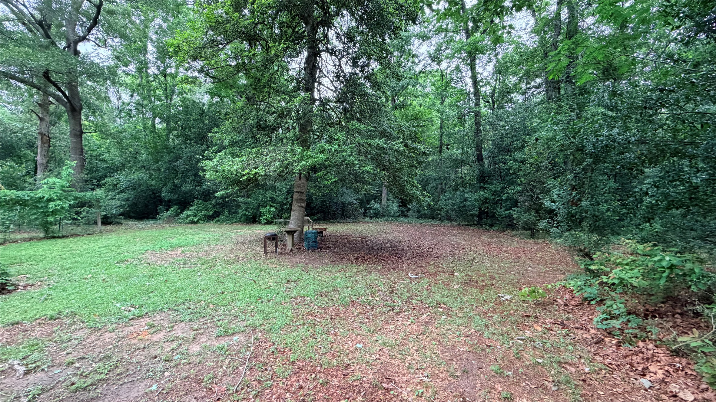 352 North George Jones Road Livingston, TX 77351 - Photo 31 of 37