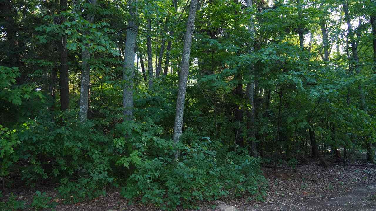 8168 Deadstream Road Honor, MI 49640 - Photo 22 of 32 1880230-21.JPG