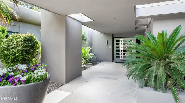 a view of a potted plant in front of a house