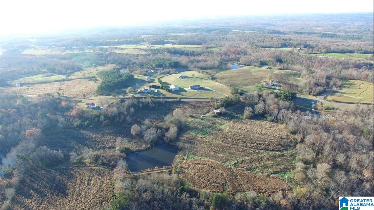 0 County Road 24, Unit 49 / ACRES Springville, AL 35146 - Photo 14 of 18