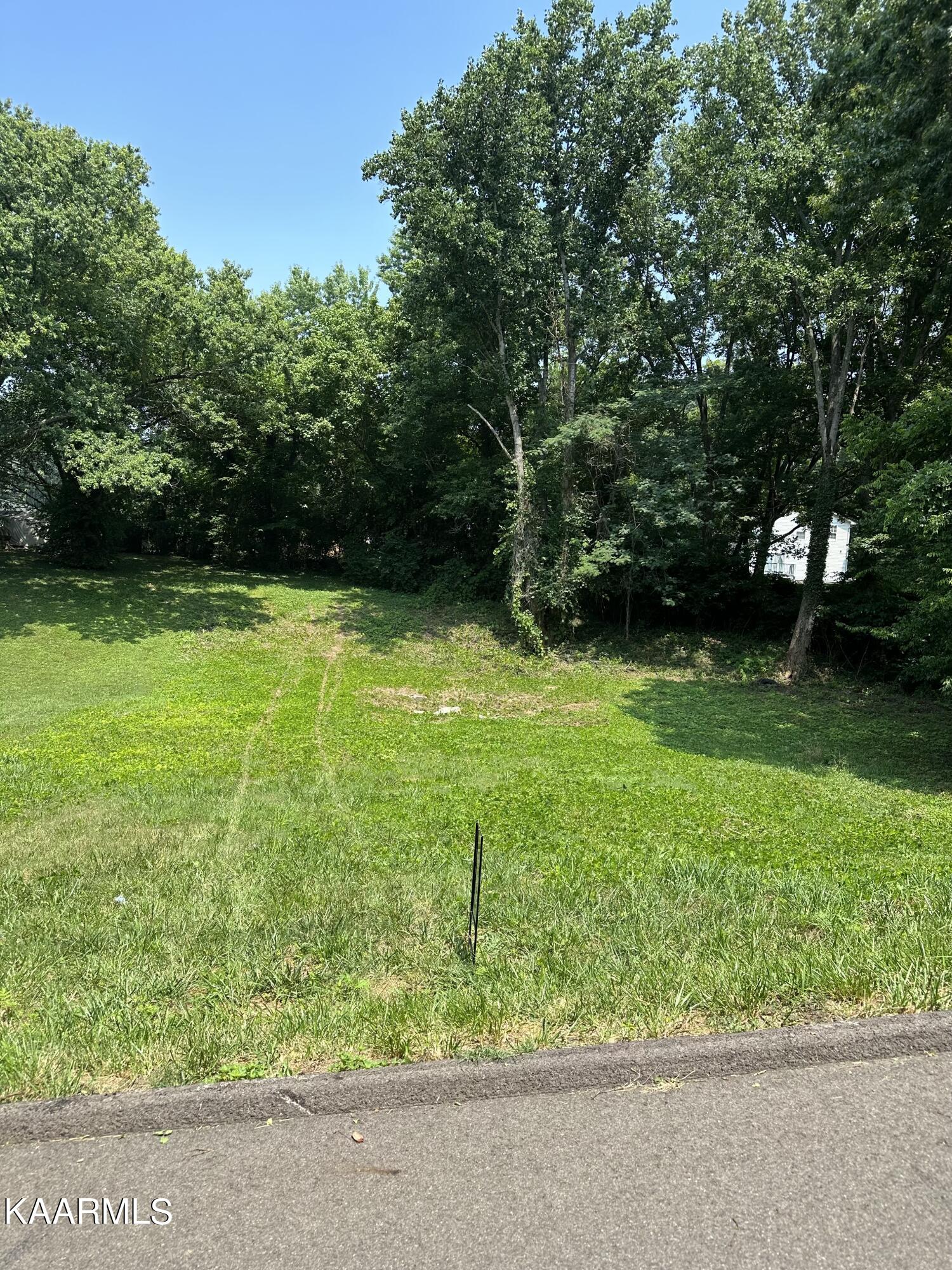 0 Aster Road Knoxville, TN 37918 - Photo 1 of 5 IMG-0565