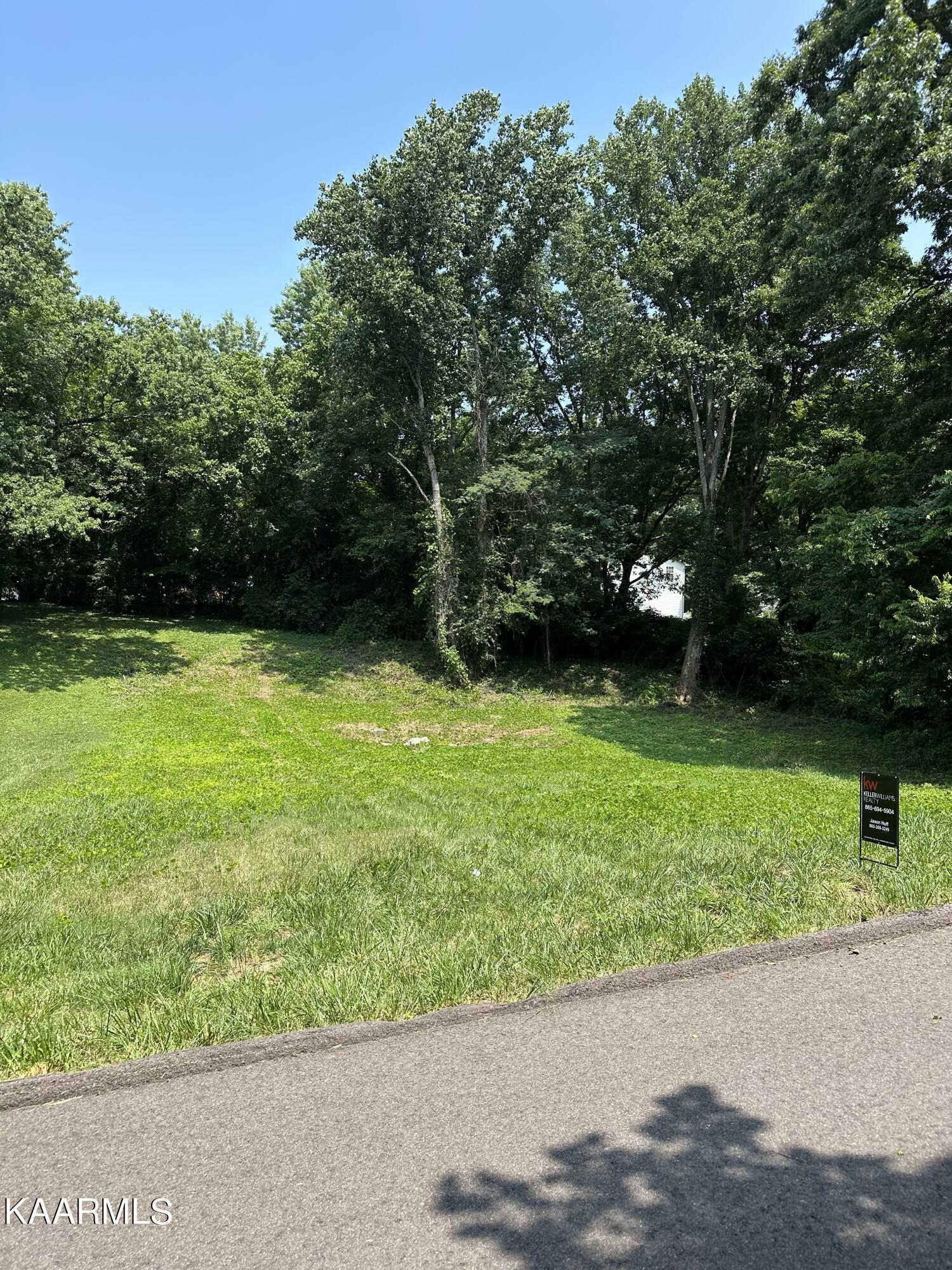 0 Aster Road Knoxville, TN 37918 - Photo 2 of 5 IMG-0566