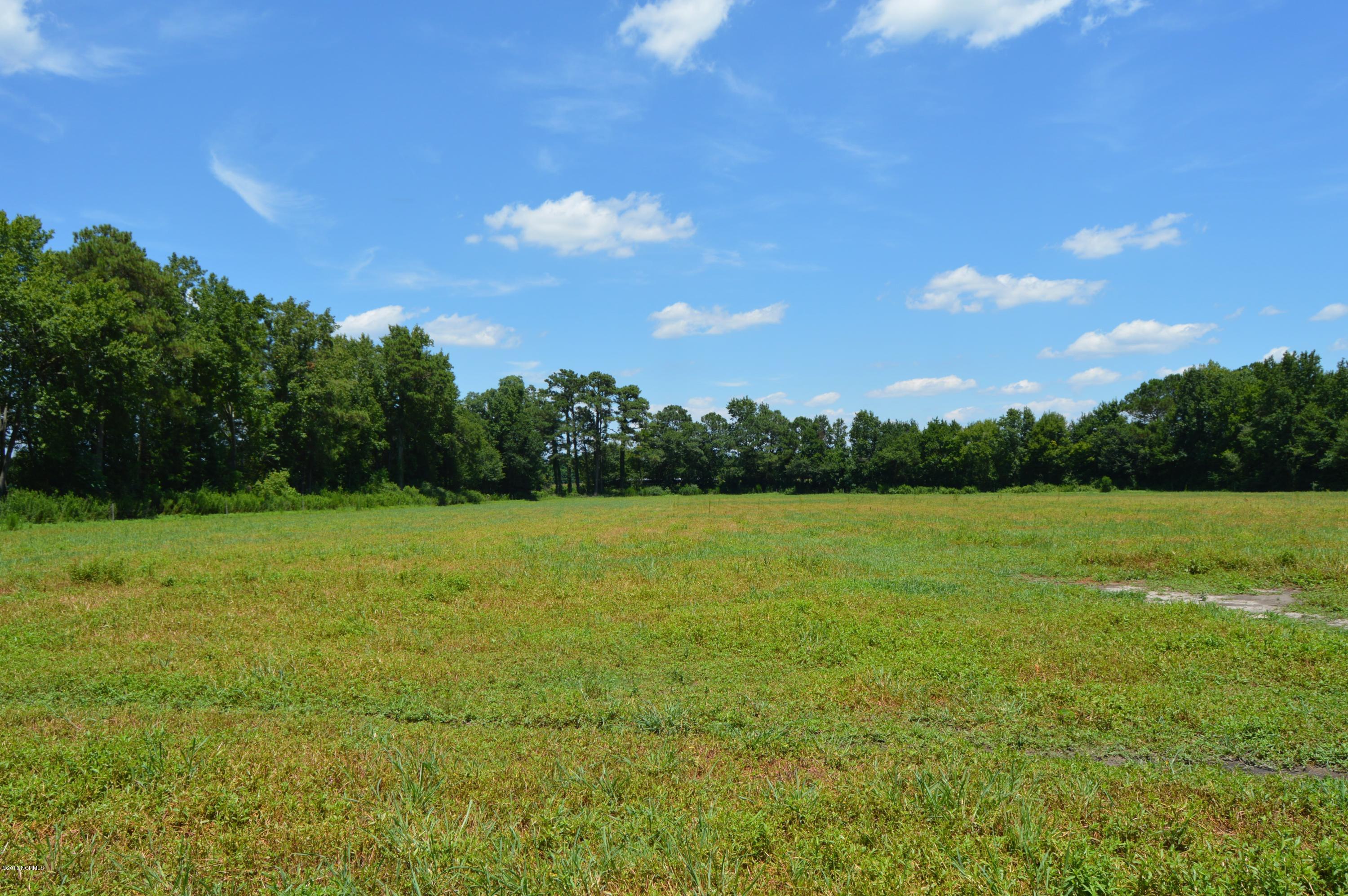 1852 Raccoon Road Willard, NC 28478 - Photo 22 of 34 back field