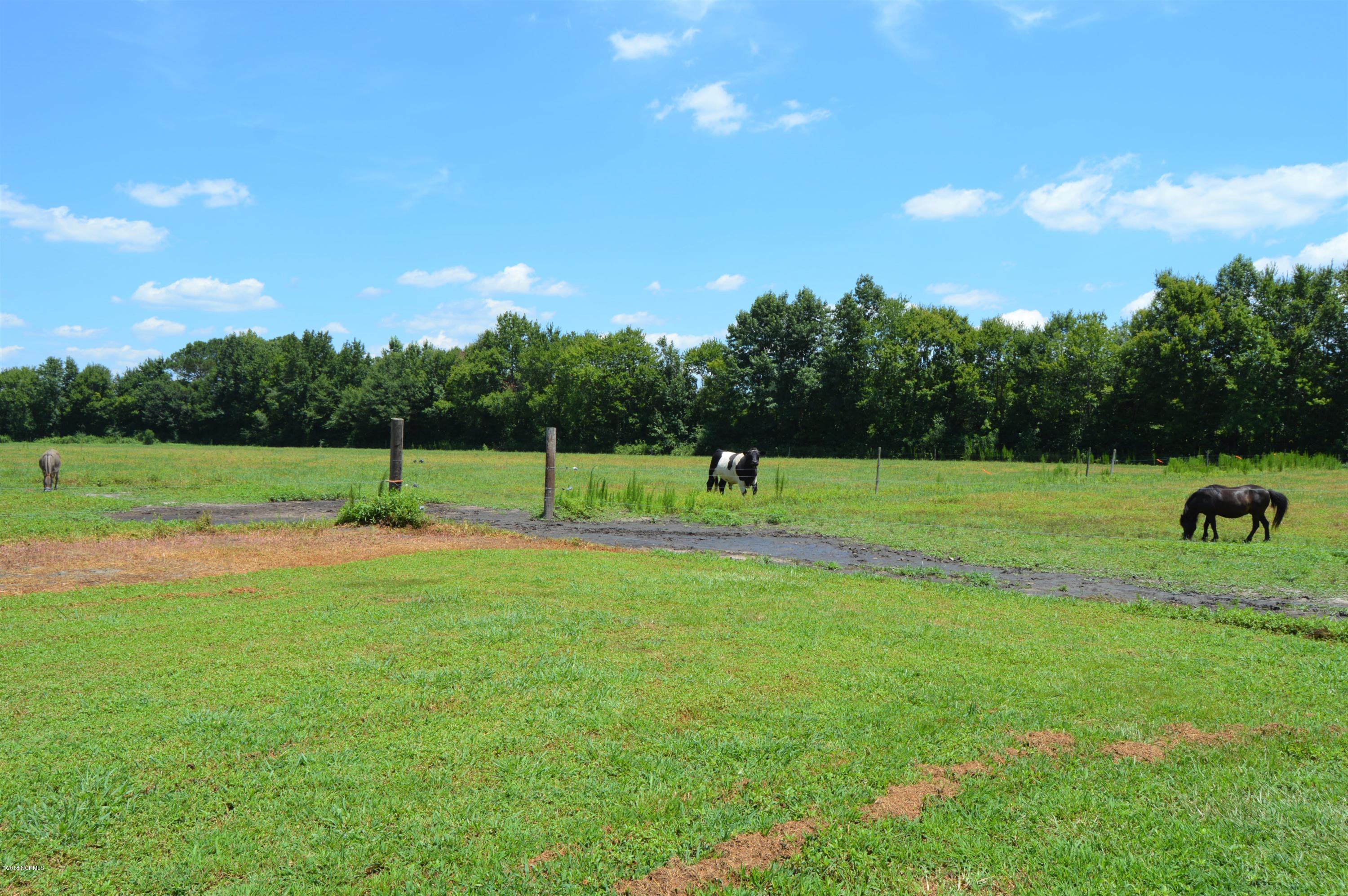 1852 Raccoon Road Willard, NC 28478 - Photo 23 of 34 new 3 animals in field