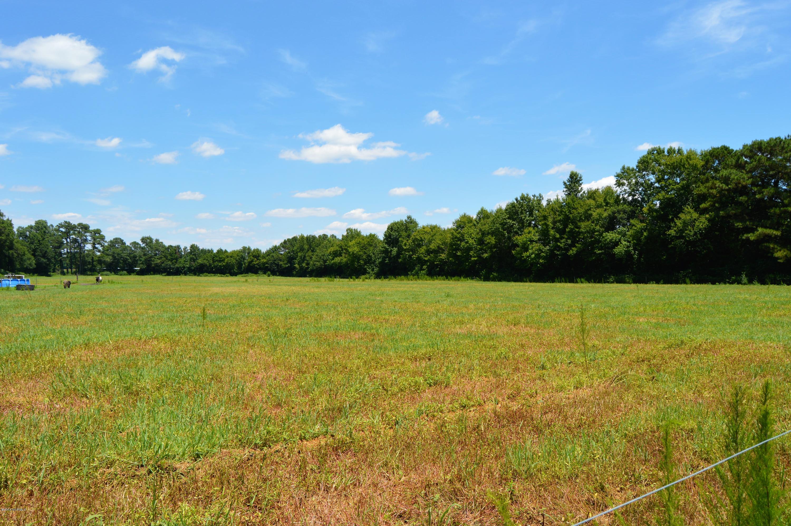 1852 Raccoon Road Willard, NC 28478 - Photo 30 of 34 new right and back field