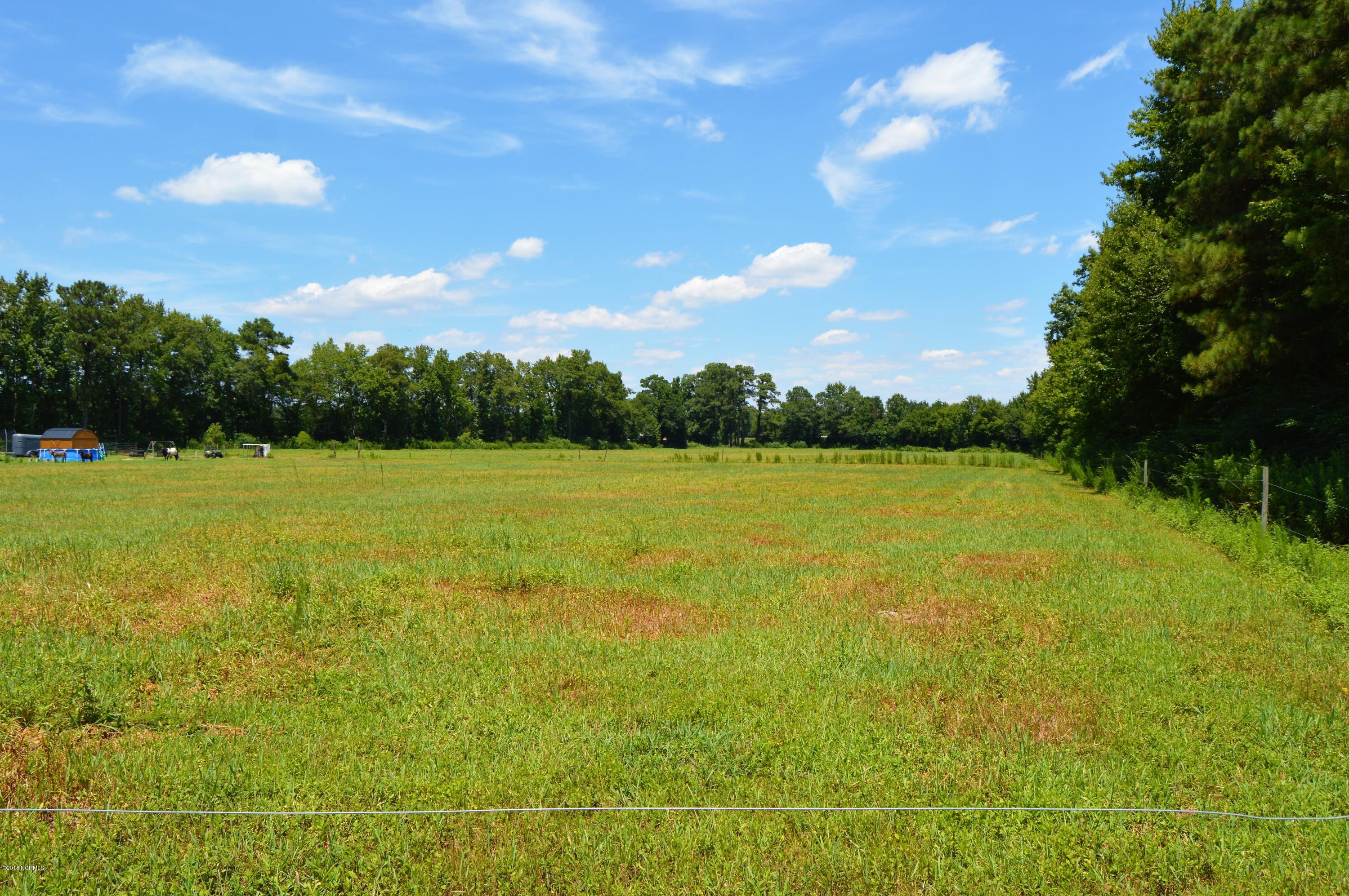 1852 Raccoon Road Willard, NC 28478 - Photo 31 of 34 new right field