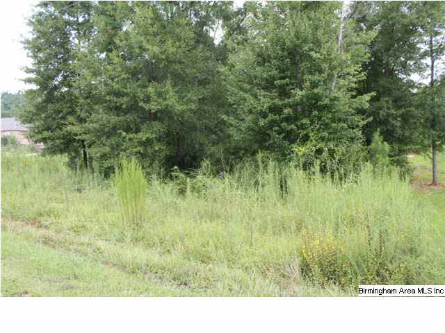 Hitching Post Circle, Unit 4 Cropwell, AL 35054 - Photo 3 of 3
