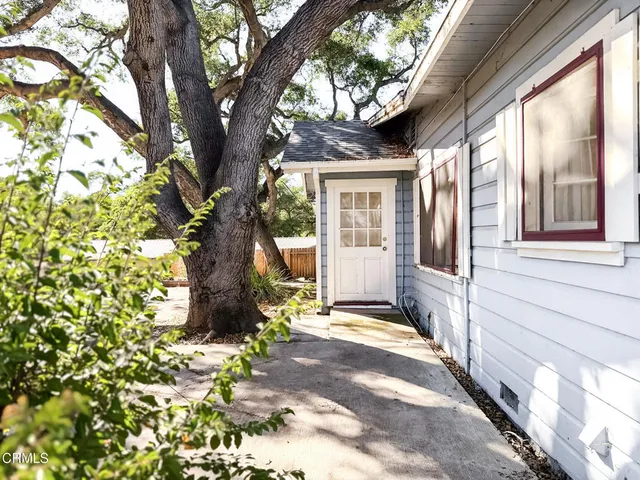 a front view of a house with a tree in the yard