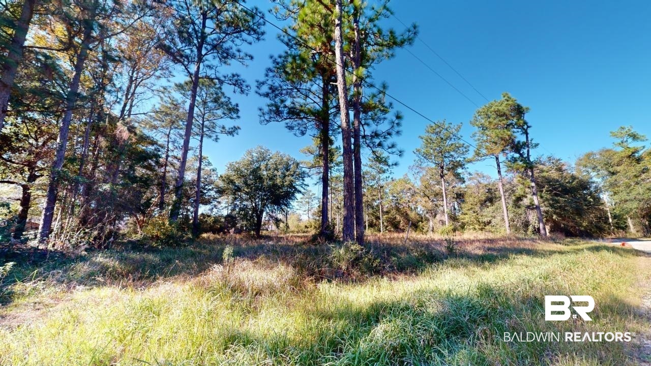 View of landscape