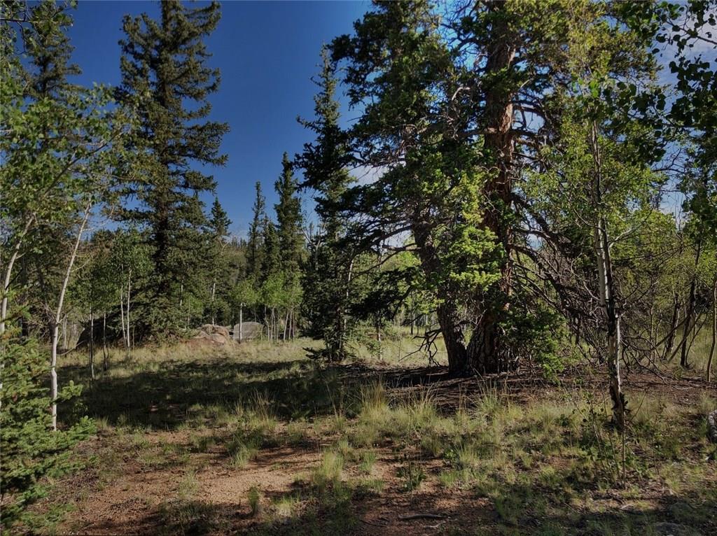 452 Kodiak Road Como, CO 80456 - Photo 1 of 11 Gallery Image 1