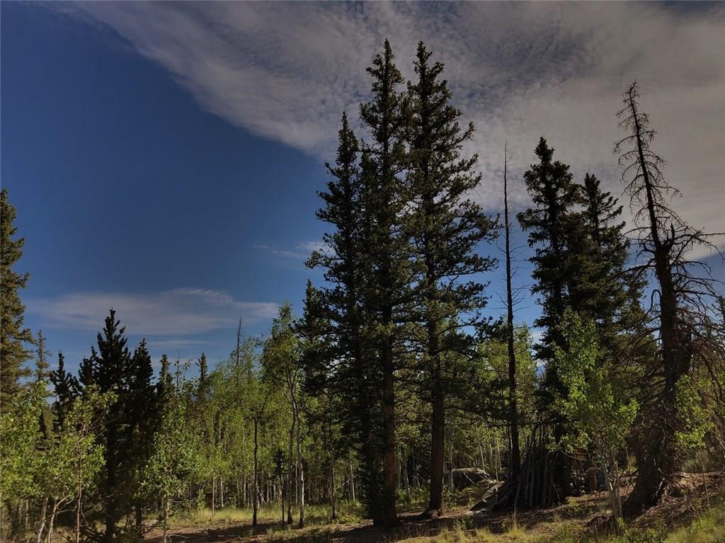 452 Kodiak Road Como, CO 80456 - Photo 2 of 11 Gallery Image 2
