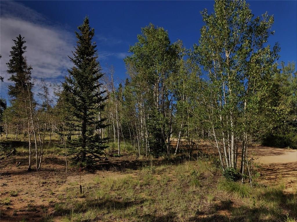 452 Kodiak Road Como, CO 80456 - Photo 11 of 11 Gallery Image 11