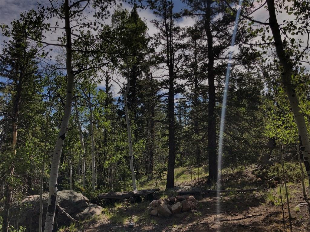 452 Kodiak Road Como, CO 80456 - Photo 3 of 11 Gallery Image 3