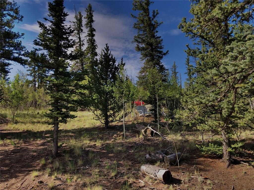 452 Kodiak Road Como, CO 80456 - Photo 5 of 11 Gallery Image 5