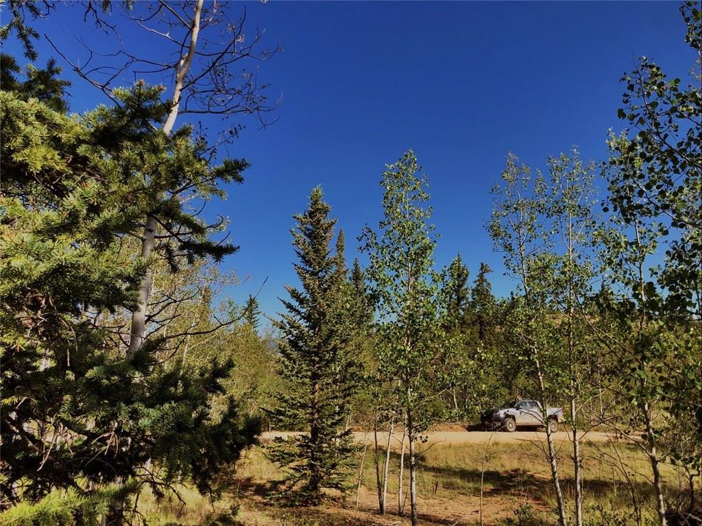 452 Kodiak Road Como, CO 80456 - Photo 7 of 11 Gallery Image 7