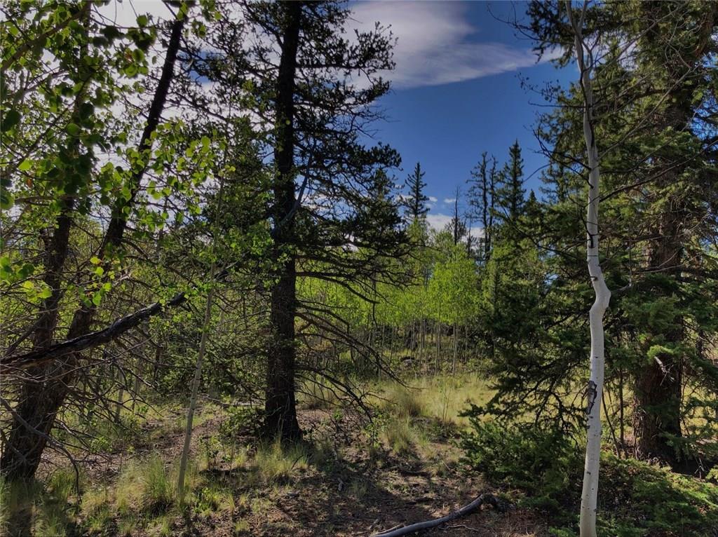 452 Kodiak Road Como, CO 80456 - Photo 8 of 11 Gallery Image 8