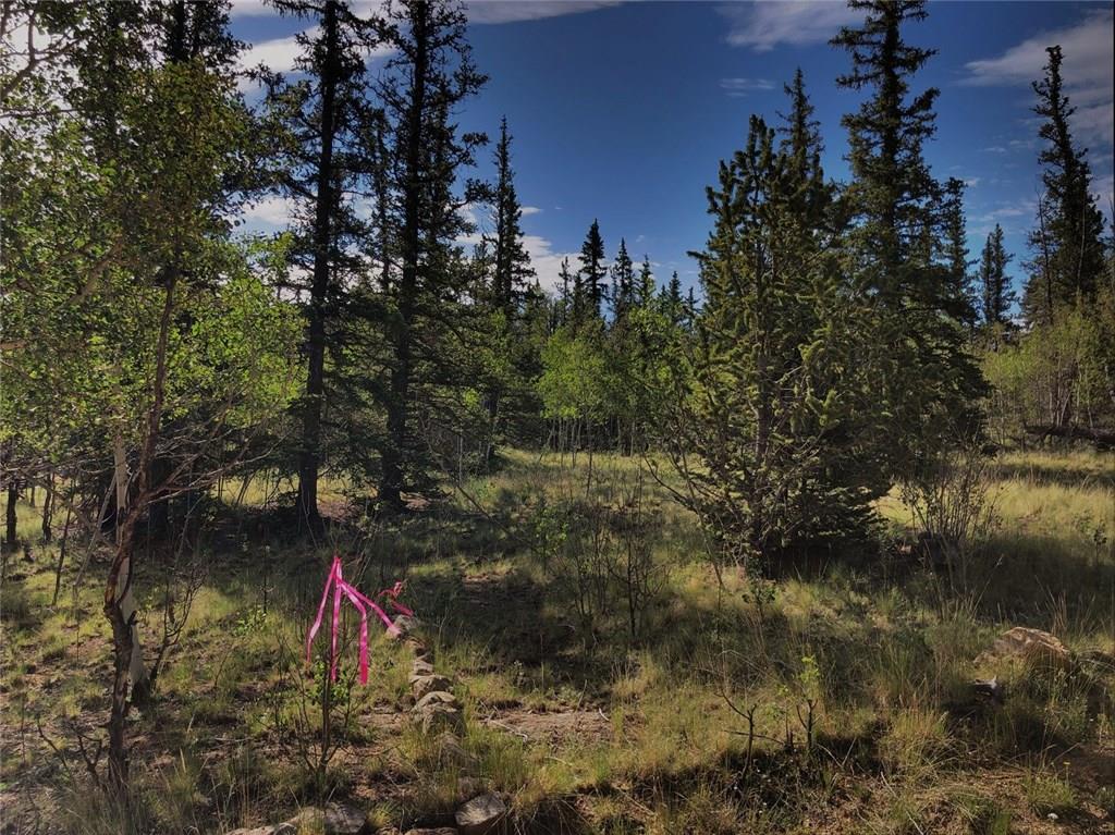 452 Kodiak Road Como, CO 80456 - Photo 10 of 11 Gallery Image 10