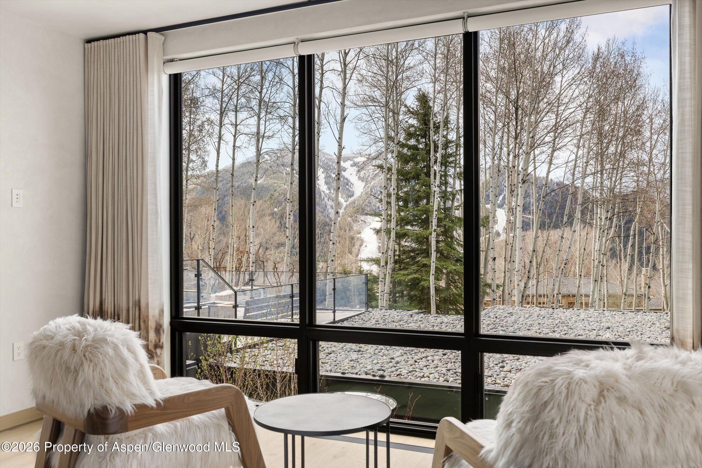 323 East Reds Road Aspen, CO 81612 - Photo 12 of 17 View from Primary