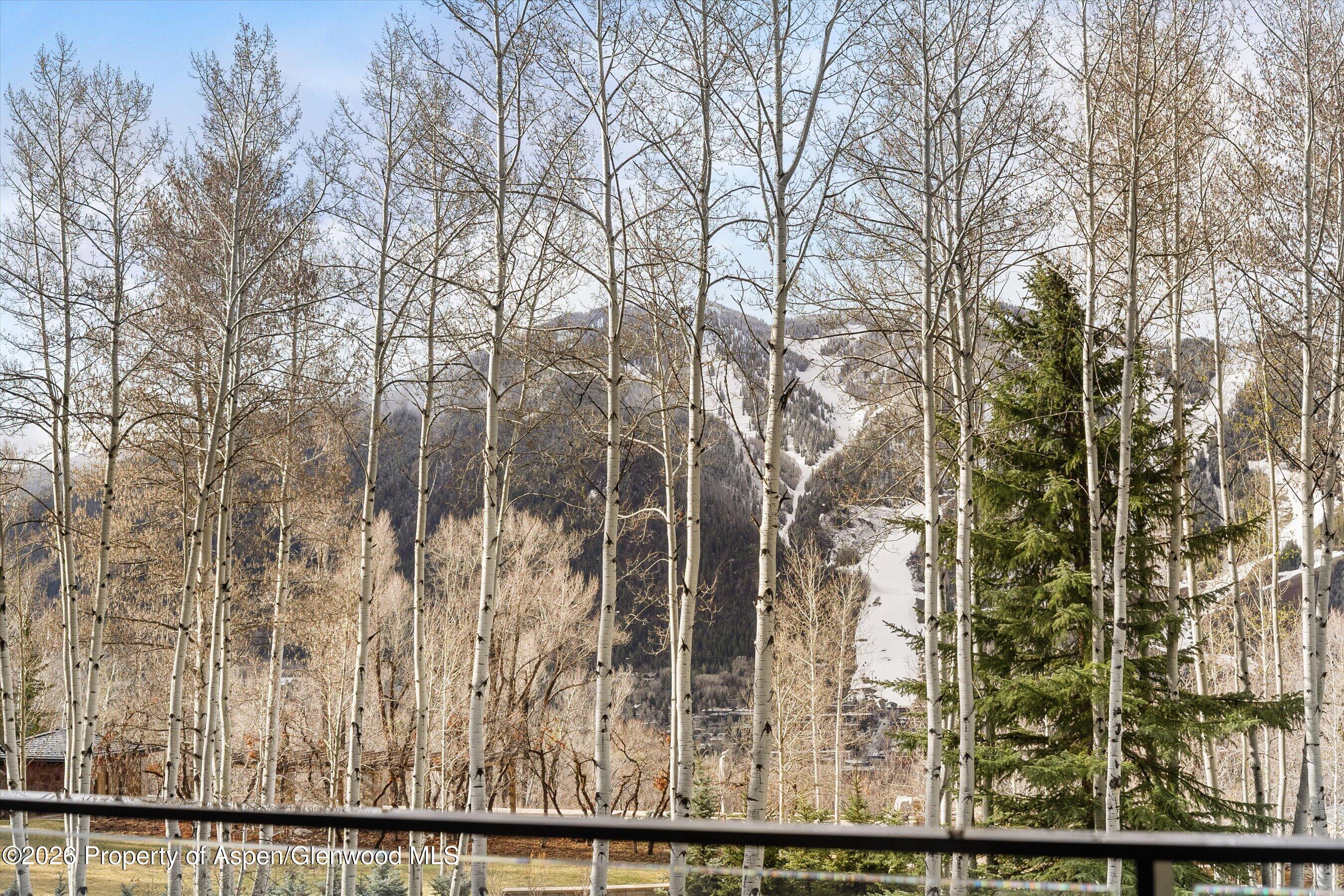 323 East Reds Road Aspen, CO 81612 - Photo 9 of 17 View from Primary Terrace